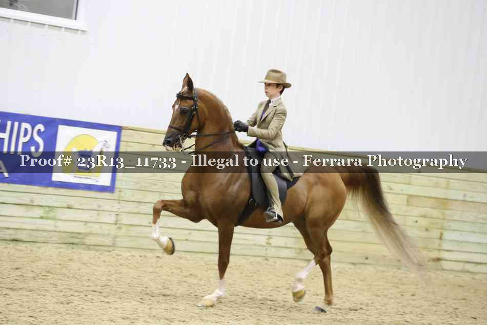 Proof Number 23R13_11733