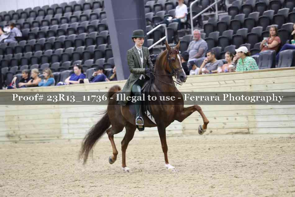 Proof Number 23R13_11736