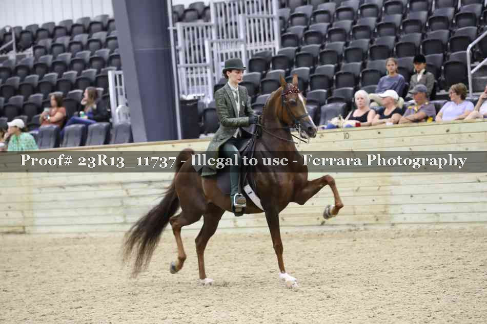 Proof Number 23R13_11737