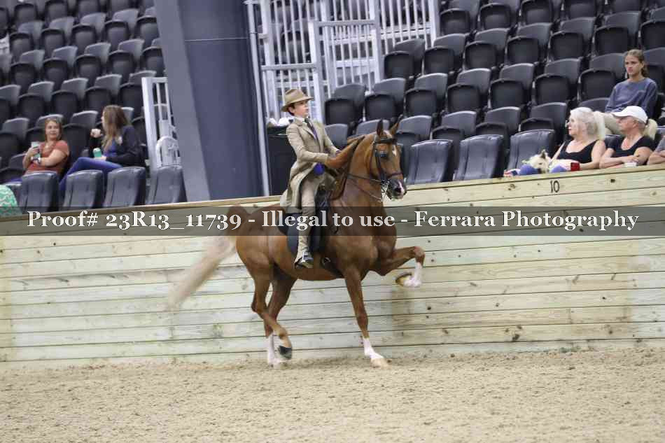 Proof Number 23R13_11739