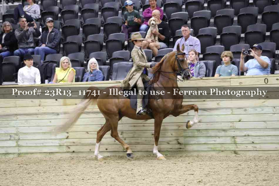 Proof Number 23R13_11741