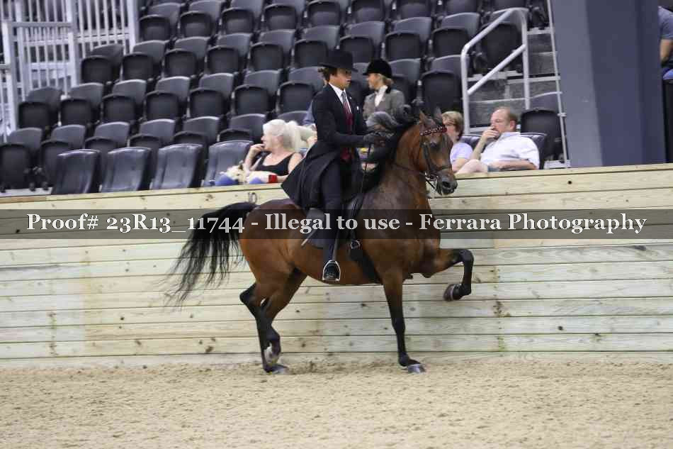 Proof Number 23R13_11744