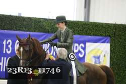 23R13_11746 thumbnail