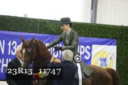 23R13_11747 thumbnail