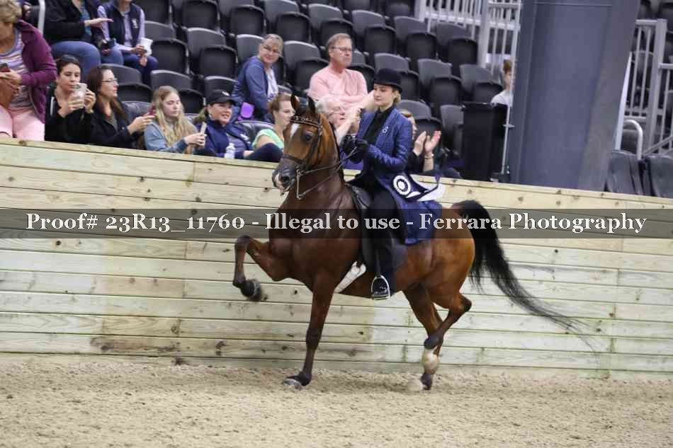 Proof Number 23R13_11760