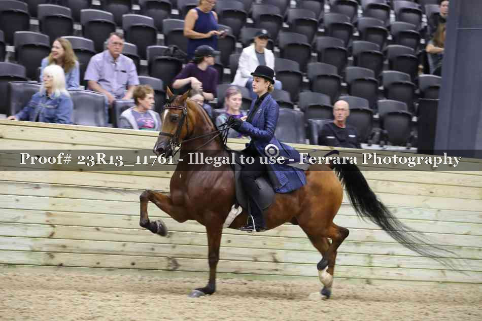 Proof Number 23R13_11761