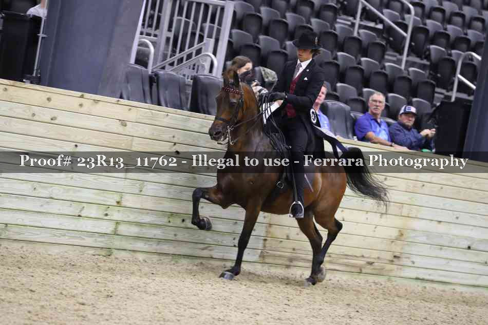 Proof Number 23R13_11762