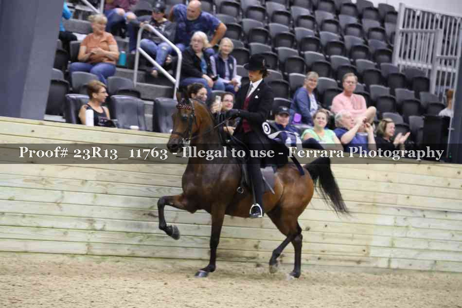 Proof Number 23R13_11763