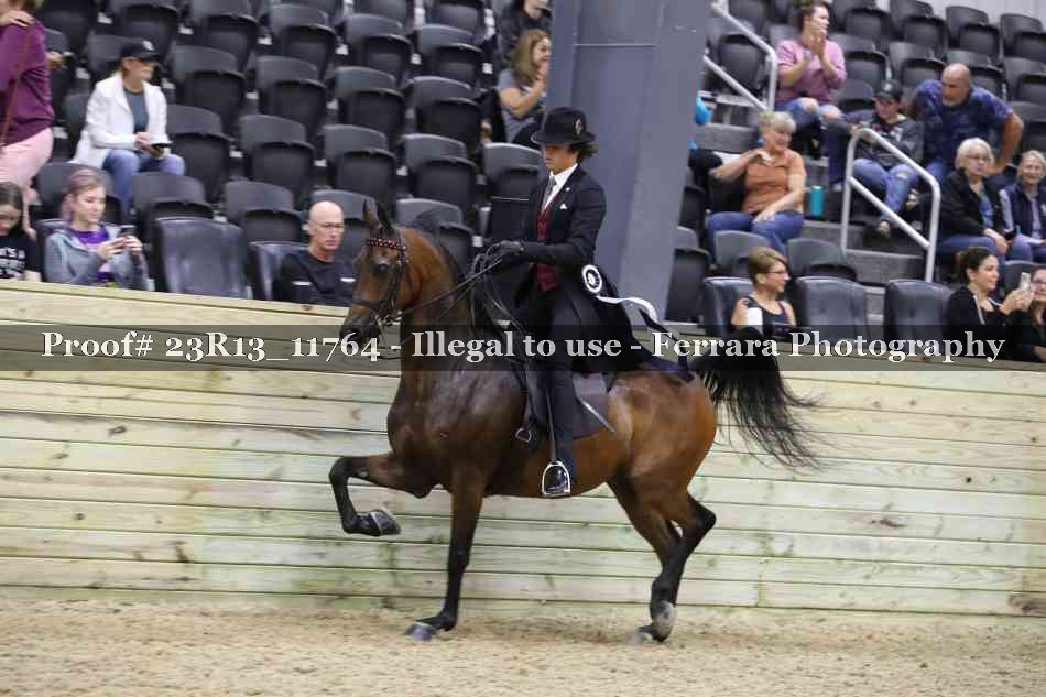 Proof Number 23R13_11764