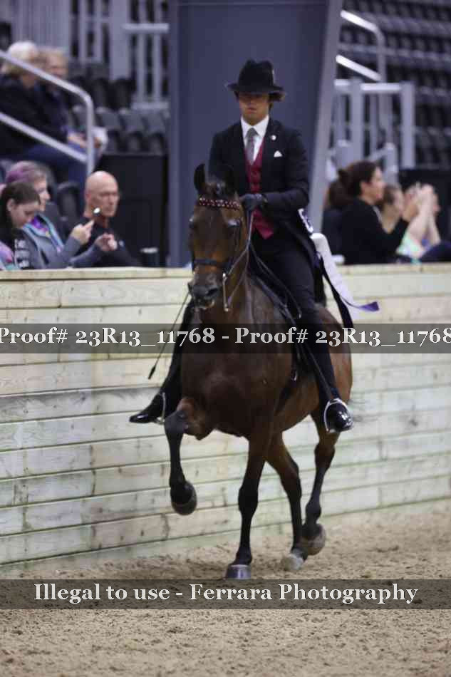Proof Number 23R13_11768