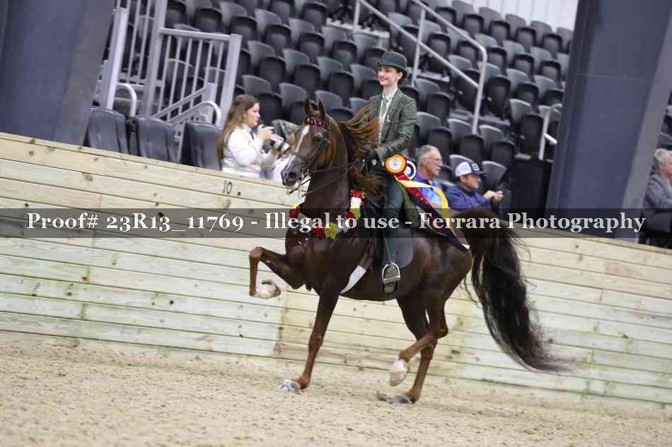 Proof Number 23R13_11769