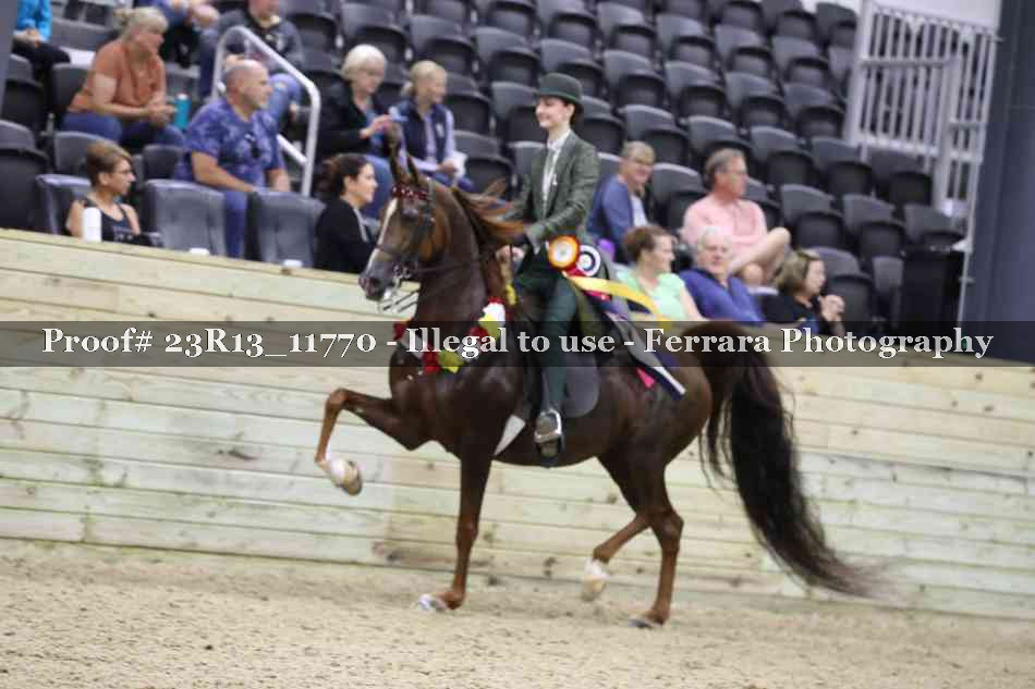 Proof Number 23R13_11770