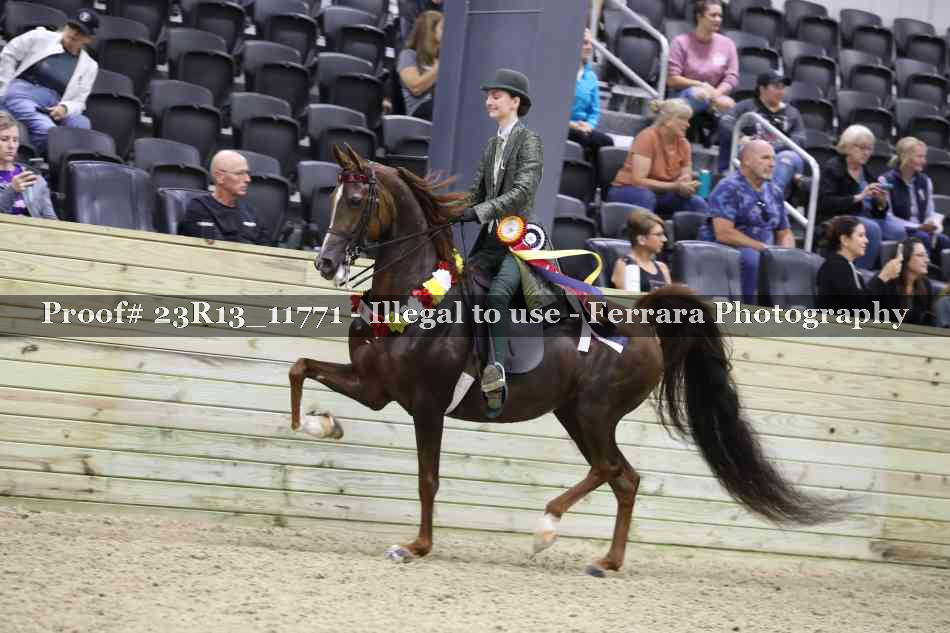 Proof Number 23R13_11771