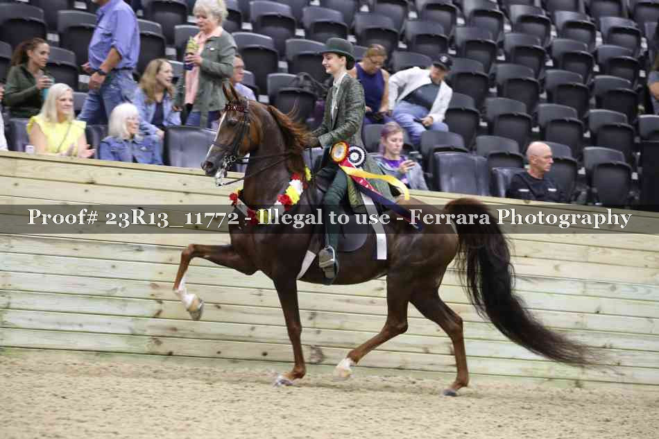 Proof Number 23R13_11772