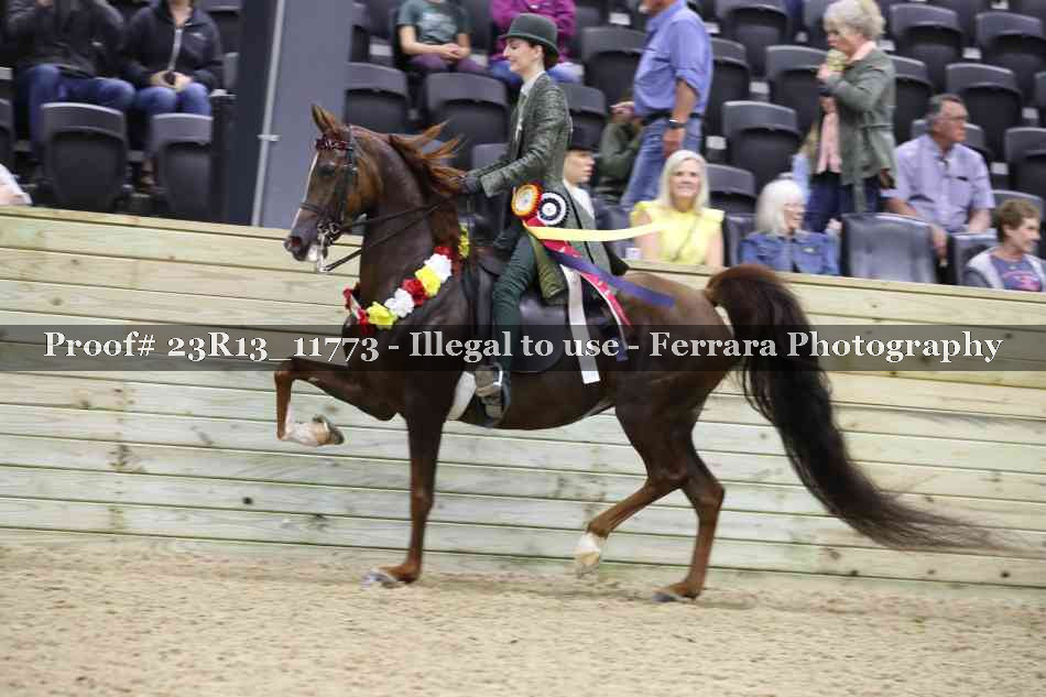 Proof Number 23R13_11773