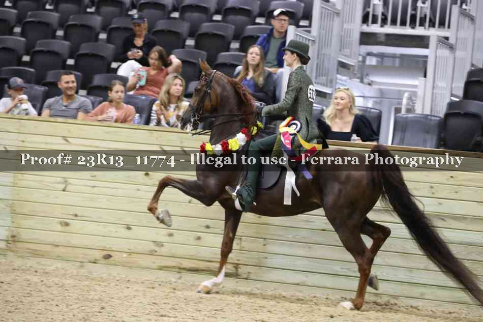 Proof Number 23R13_11774