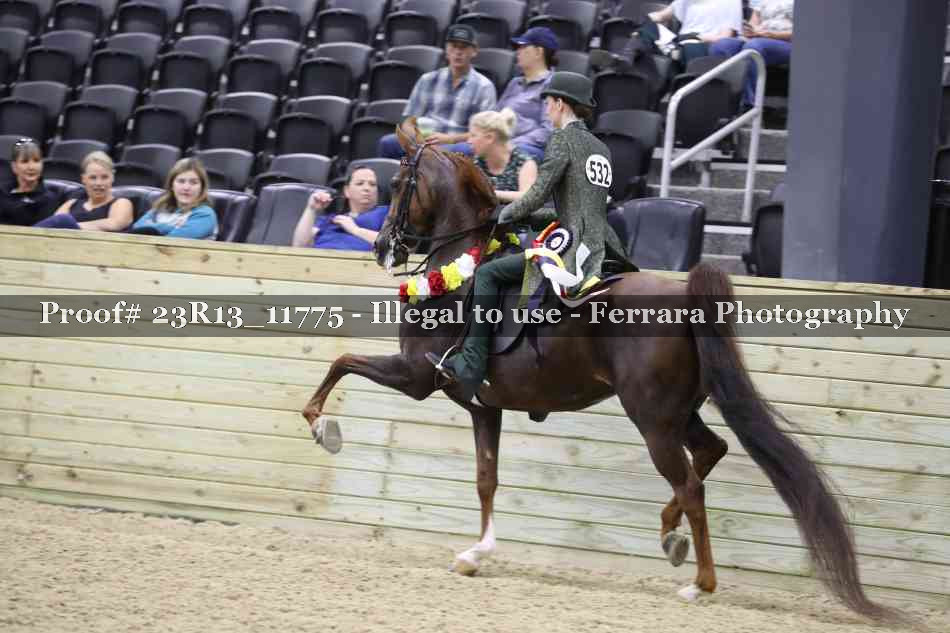 Proof Number 23R13_11775