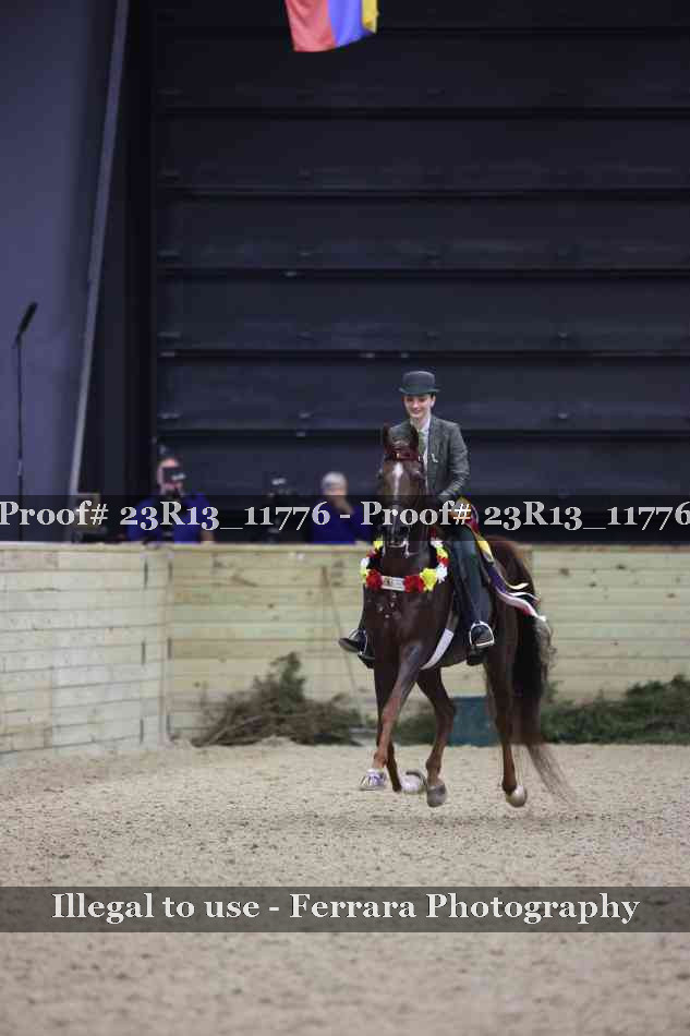Proof Number 23R13_11776