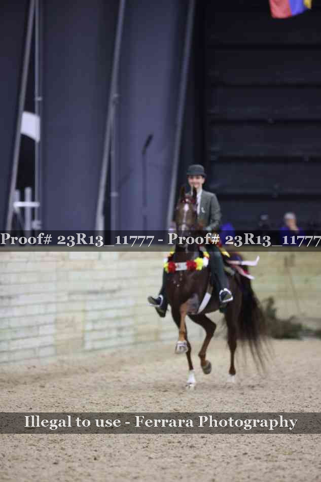 Proof Number 23R13_11777