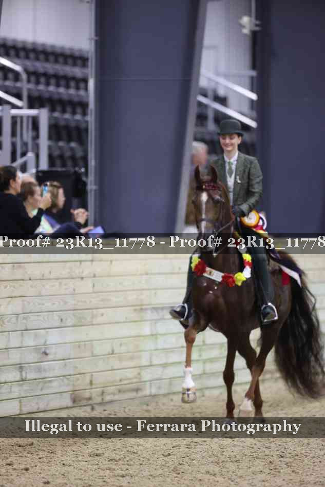 Proof Number 23R13_11778