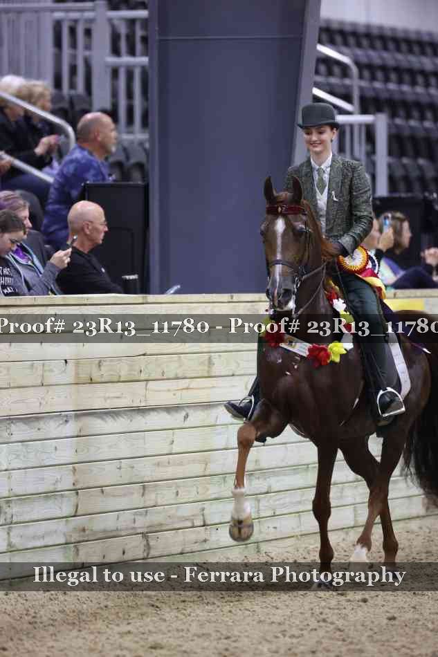 Proof Number 23R13_11780