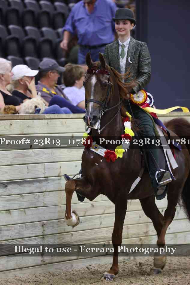 Proof Number 23R13_11781