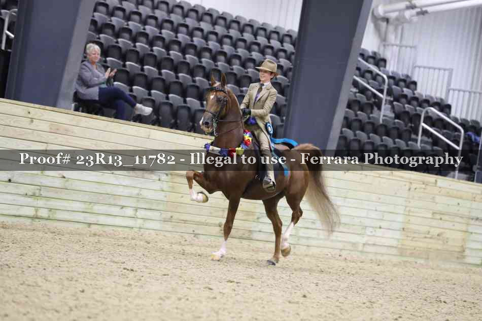 Proof Number 23R13_11782