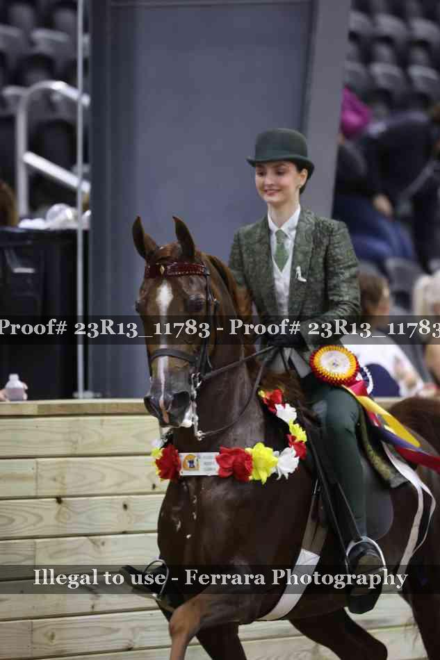 Proof Number 23R13_11783