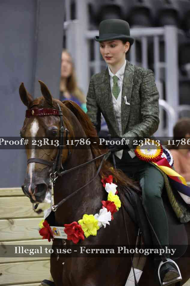 Proof Number 23R13_11786