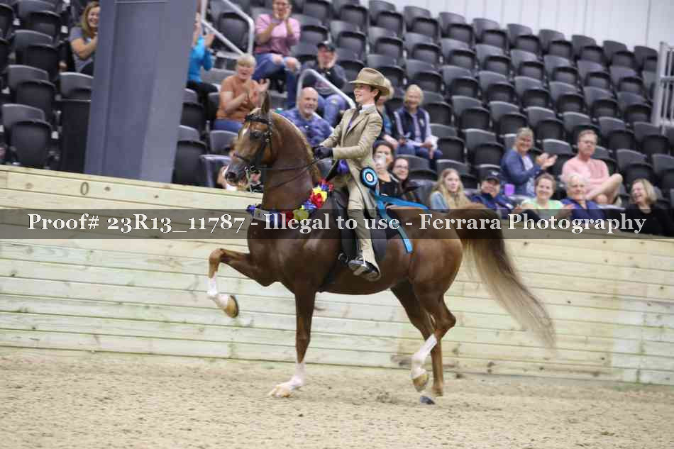 Proof Number 23R13_11787