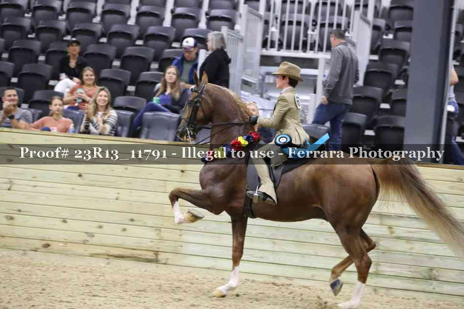 Proof Number 23R13_11791