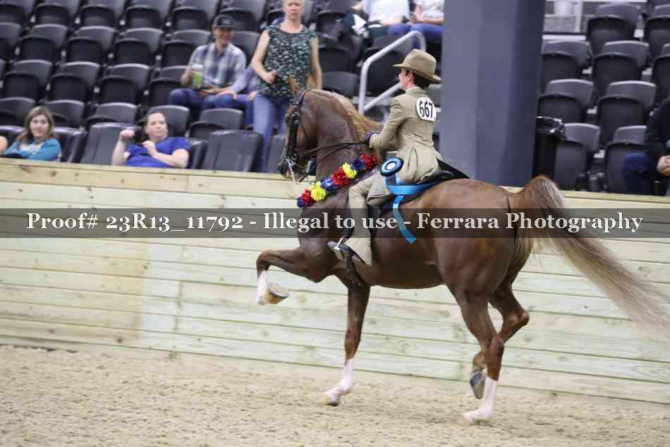 Proof Number 23R13_11792