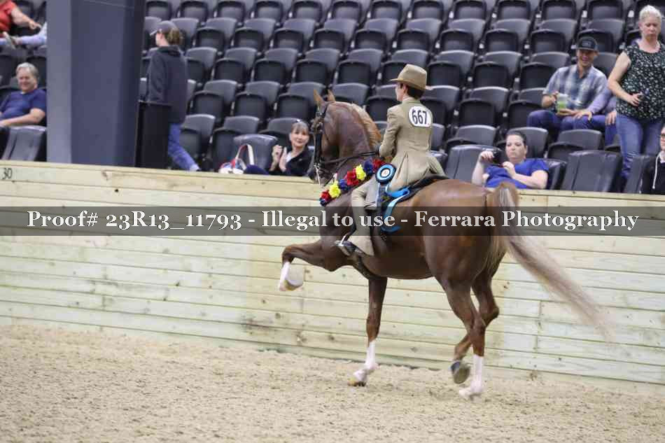 Proof Number 23R13_11793