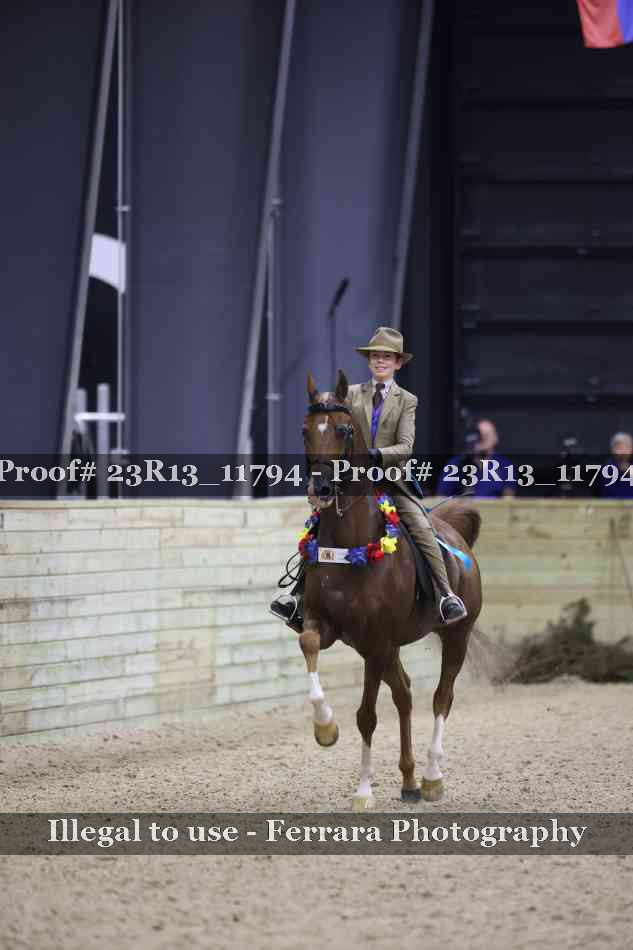 Proof Number 23R13_11794