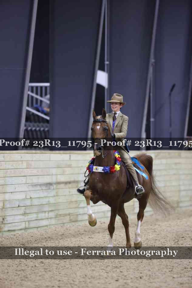 Proof Number 23R13_11795