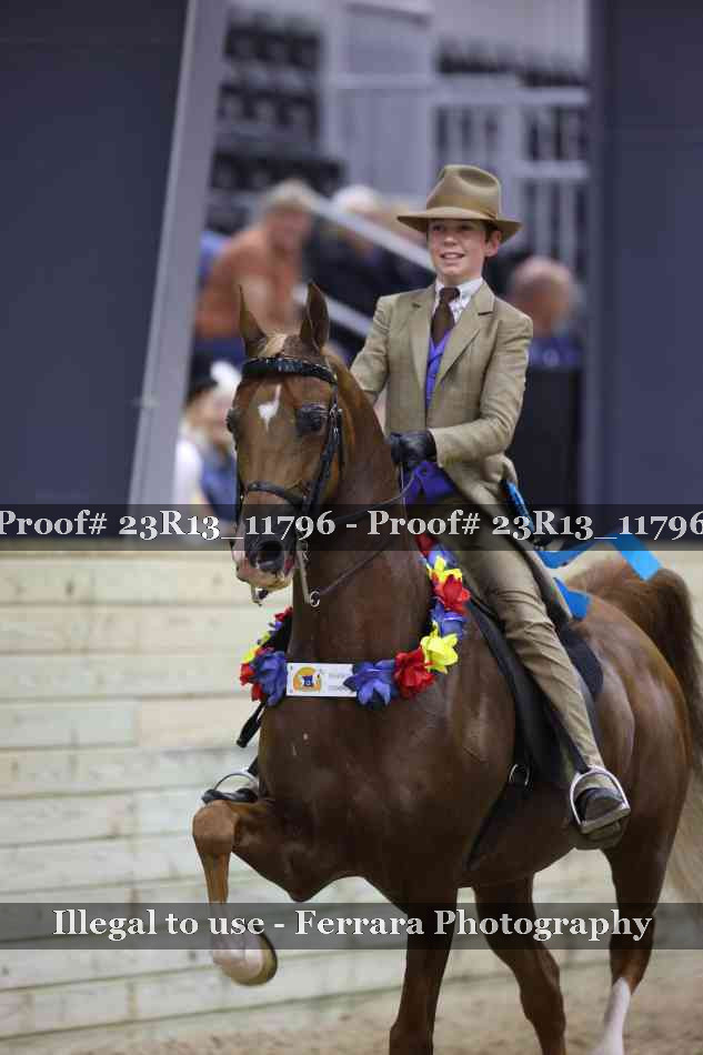 Proof Number 23R13_11796