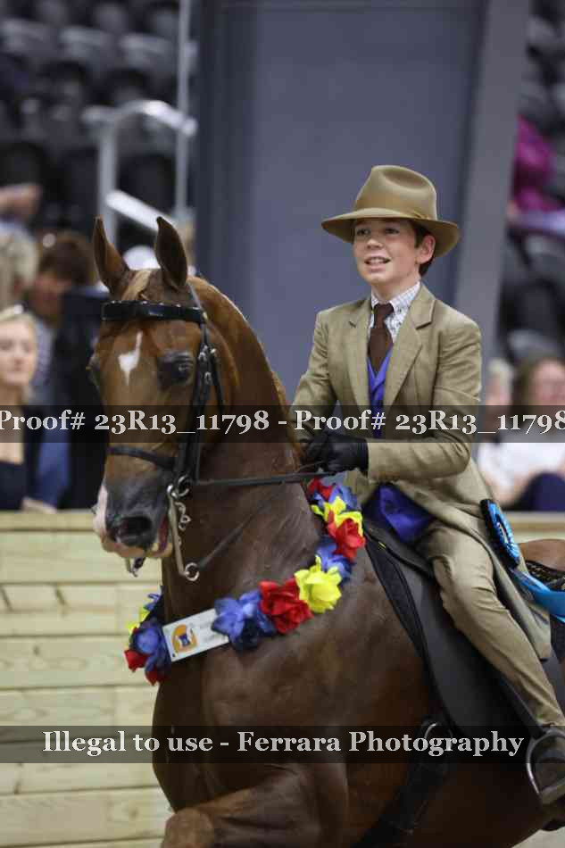 Proof Number 23R13_11798