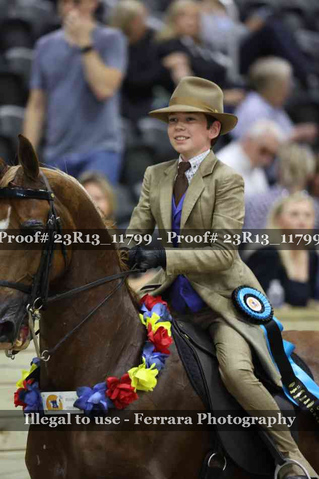 Proof Number 23R13_11799