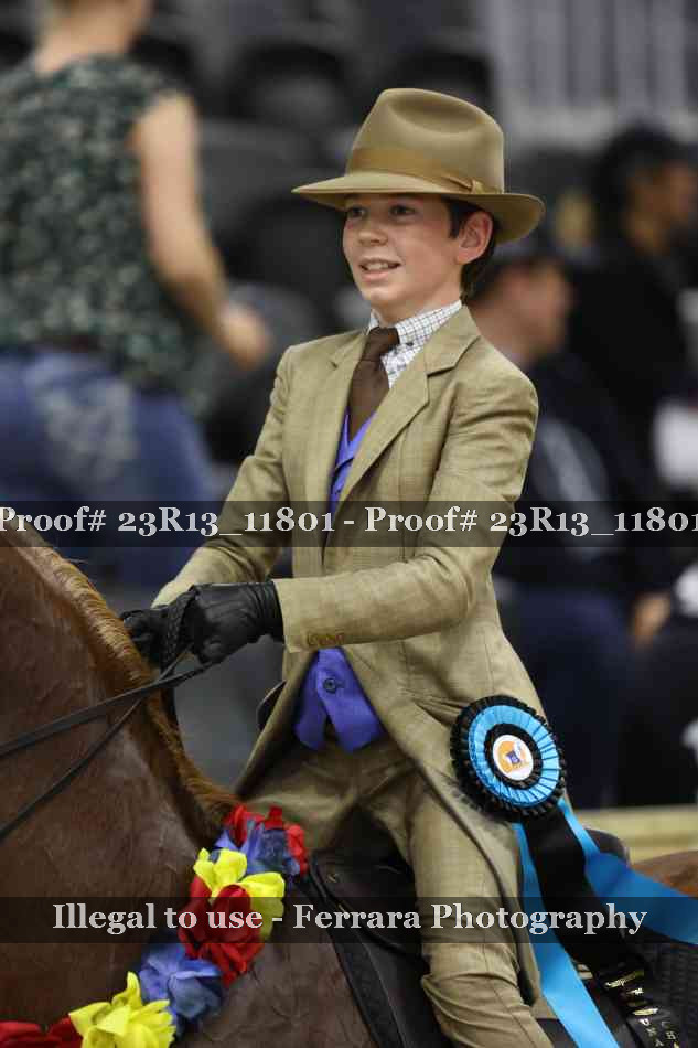 Proof Number 23R13_11801