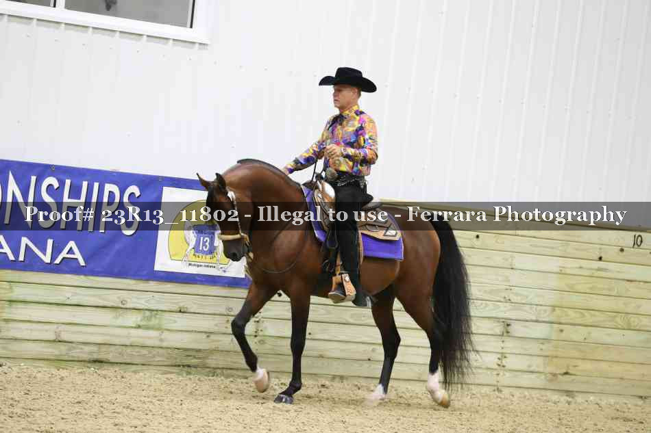 Proof Number 23R13_11802