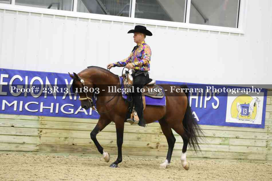 Proof Number 23R13_11803
