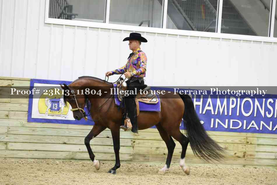 Proof Number 23R13_11804