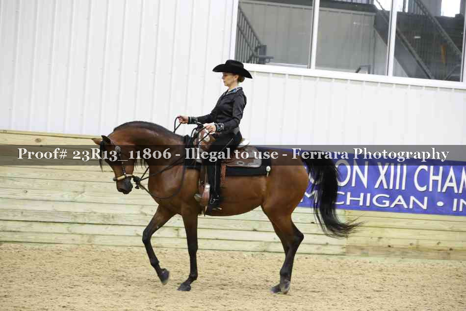 Proof Number 23R13_11806