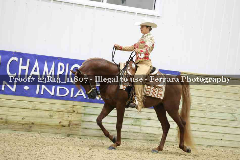 Proof Number 23R13_11807