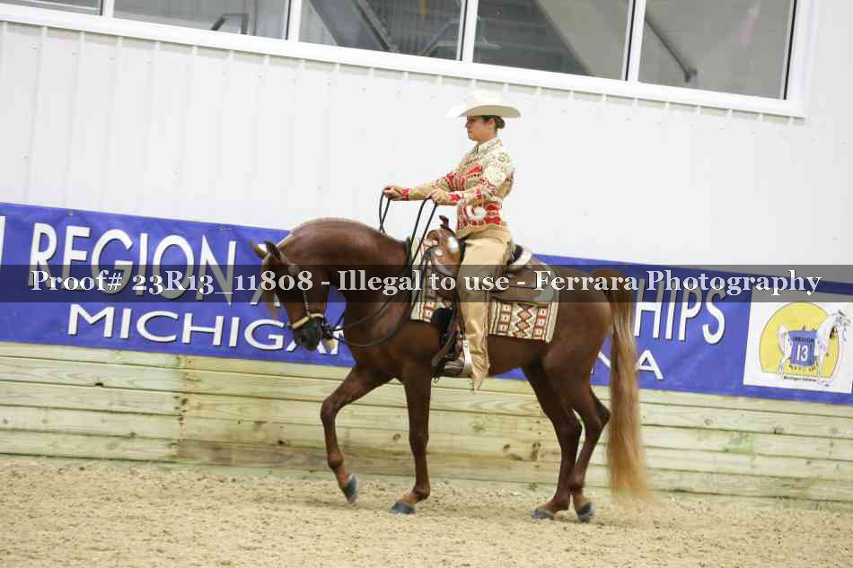 Proof Number 23R13_11808