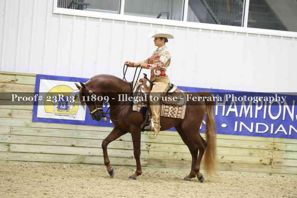 Proof Number 23R13_11809