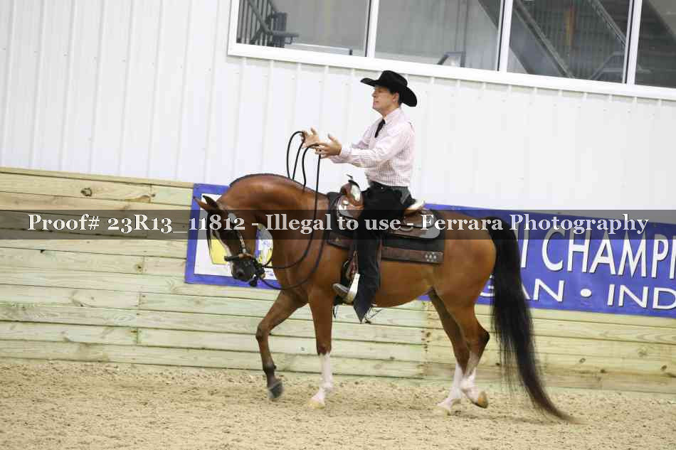 Proof Number 23R13_11812