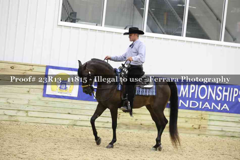 Proof Number 23R13_11815