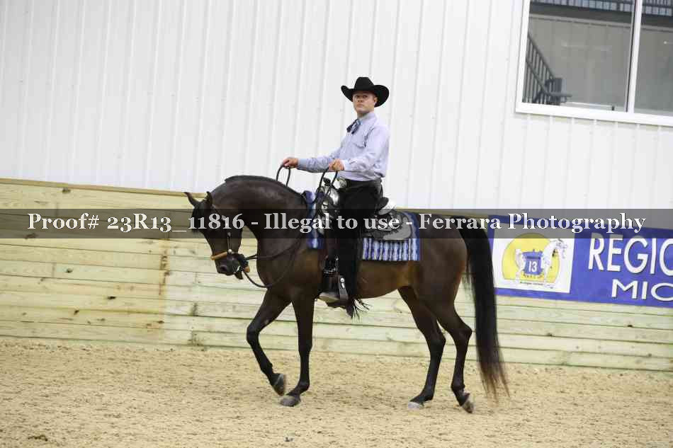 Proof Number 23R13_11816
