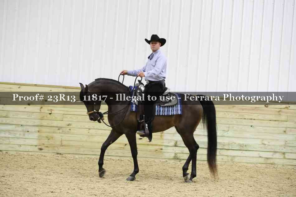 Proof Number 23R13_11817